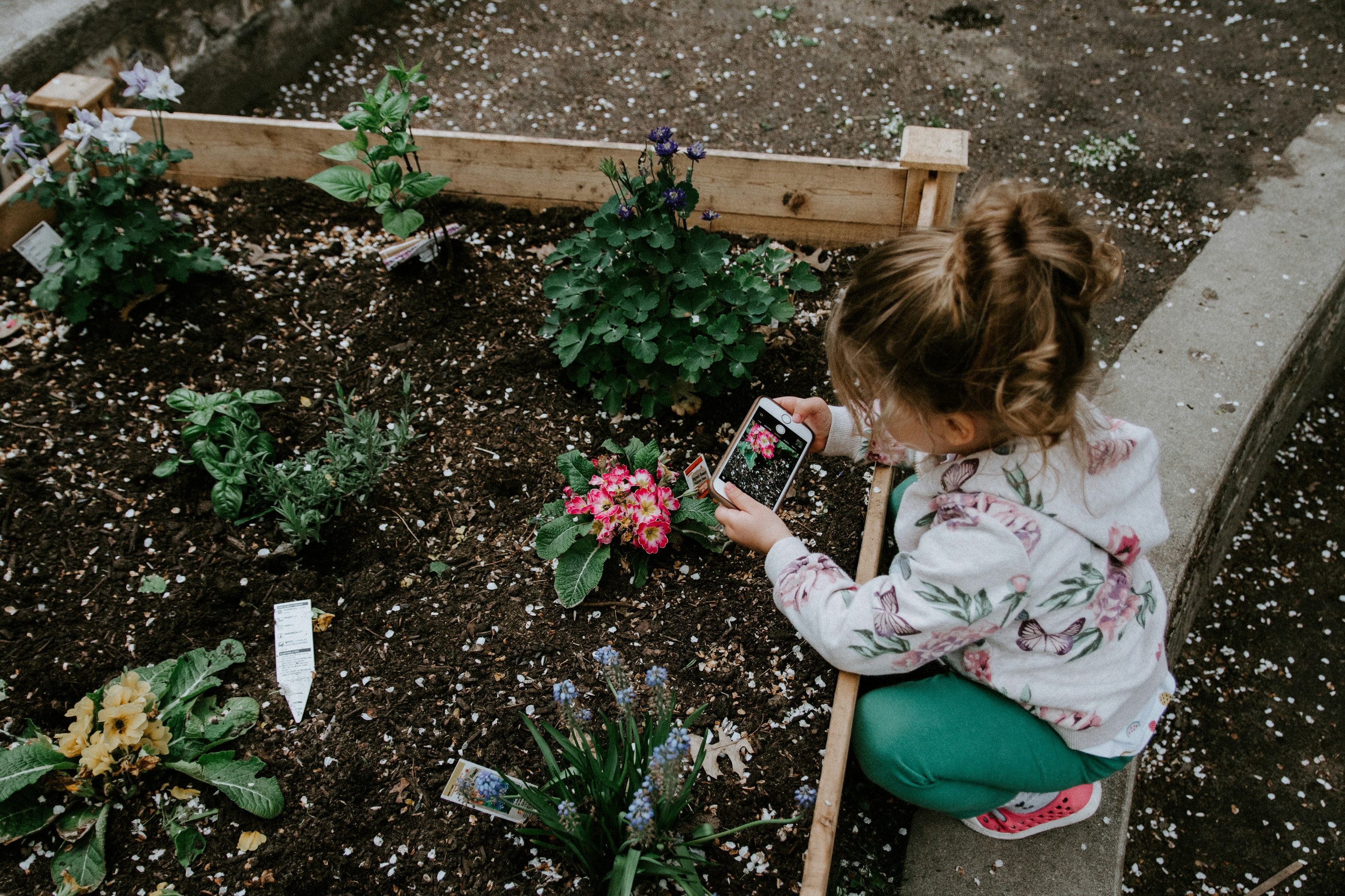 Kind fotografiert mit dem Smartphone Blumen